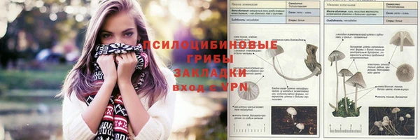 первитин Арсеньев