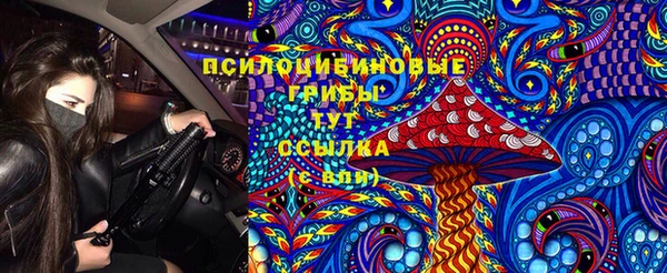 гашик Ступино