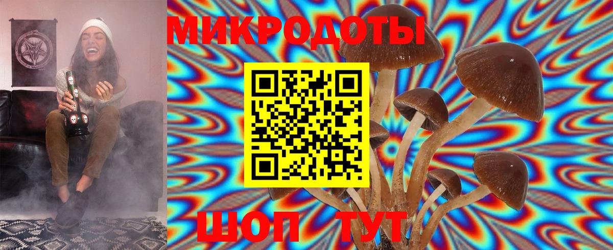 Усть-Лабинск  Псилоцибиновые грибы мицелий  Вход с VPN  Галлюциногенные грибы прущие грибы 